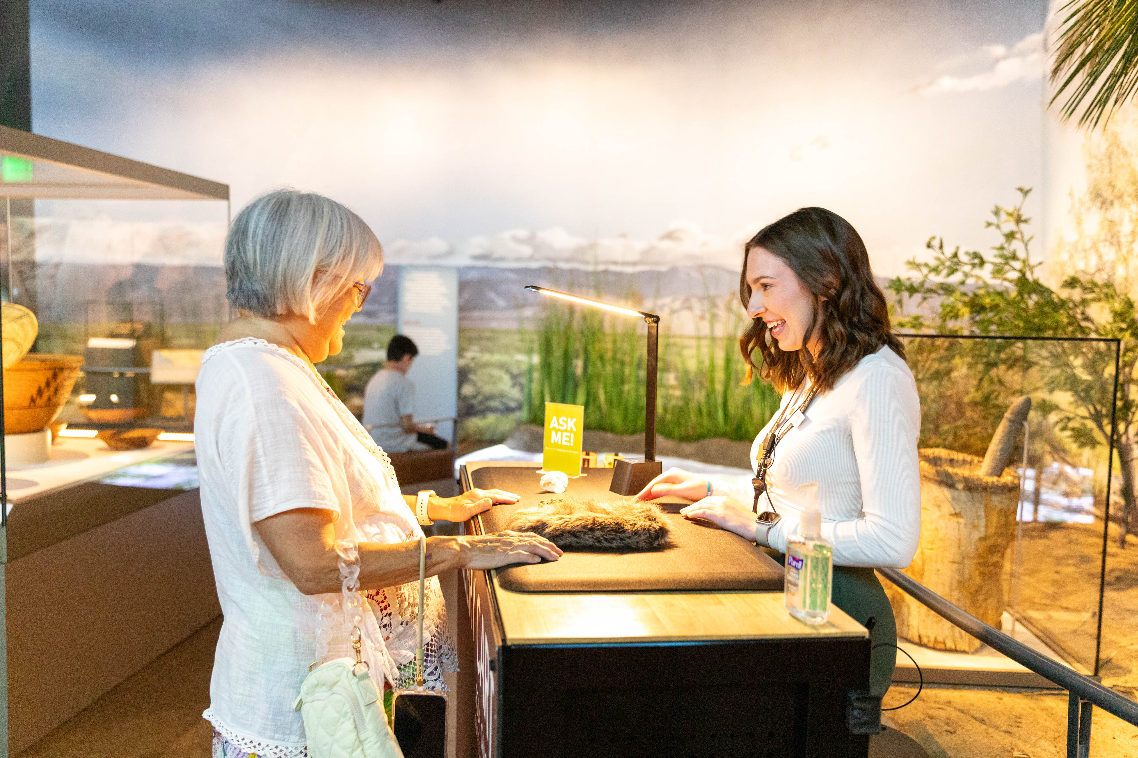 Drop-in Days at Agua Caliente Cultural Museum